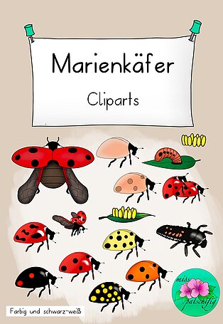 Cliparts Marienkäfer