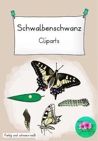 Cliparts Schwalbenschwanz