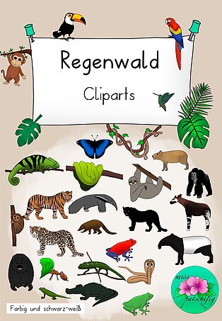 Cliparts Regenwald