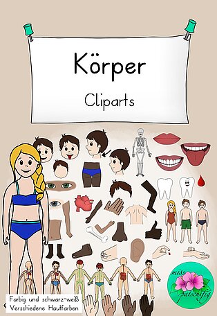 Cliparts Körper