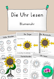 Blumenuhr Uhrzeit lesen