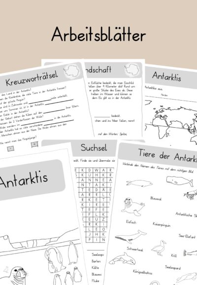 Antarktis Arbeitsblätter