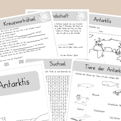 Antarktis Arbeitsblätter