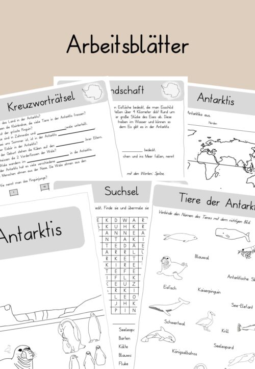 Antarktis Arbeitsblätter