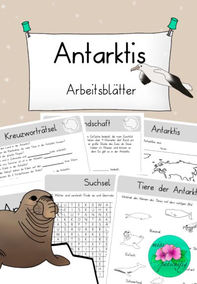 Antarktis Arbeitsblätter