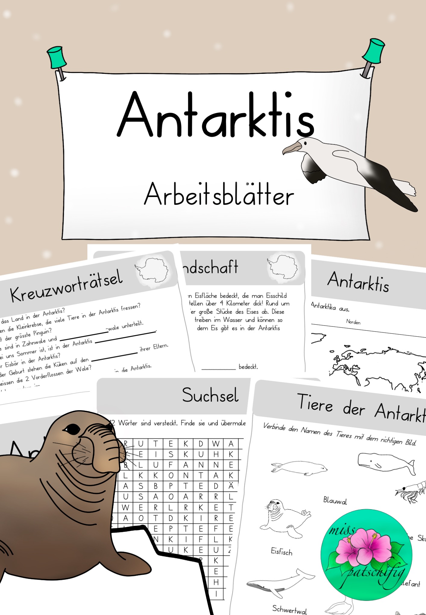 Antarktis Arbeitsblätter