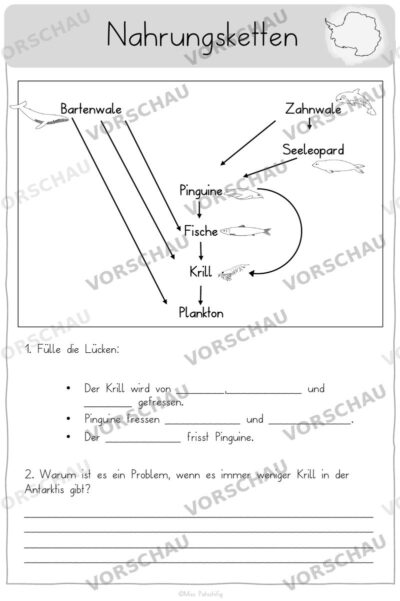 Antarktis Arbeitsblätter: Nahrungsketten, Vorschau