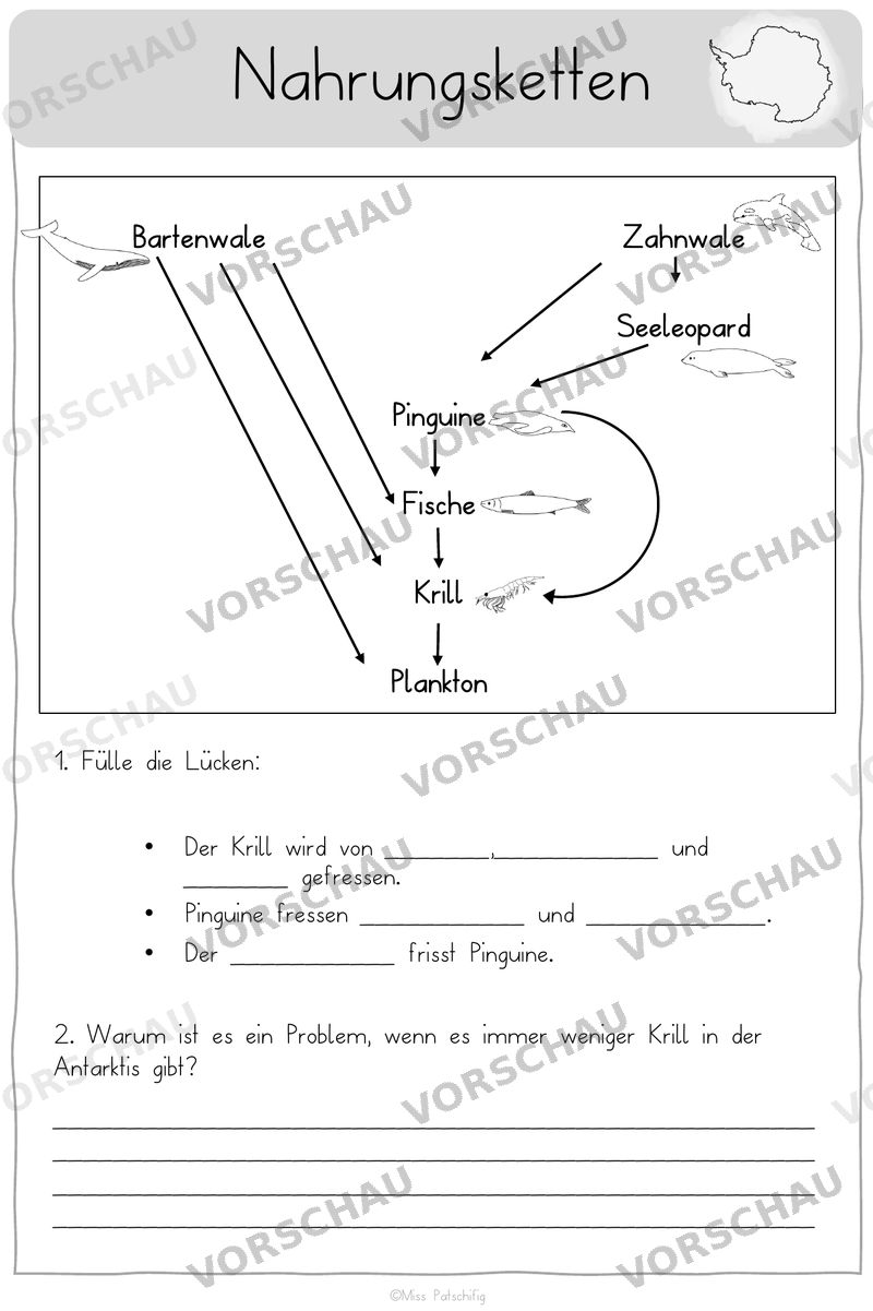 Antarktis Arbeitsblätter: Nahrungsketten, Vorschau