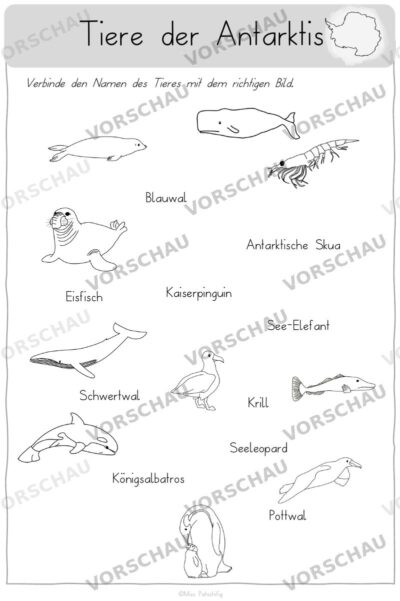 Antarktis Arbeitsblätter: Tiere der Antarktis verbinden, Vorschau