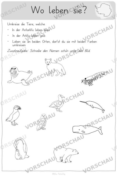 Antarktis Arbeitsblätter: Wo leben sie? Antarktis oder Arktis, Vorschau