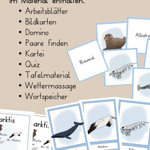 Antarktis Unterrichtsmaterial