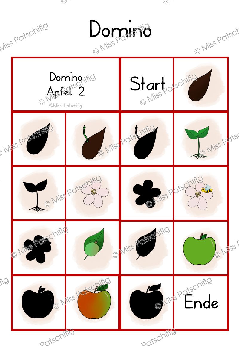 Apfel Domino 2 mit Schattenbildern zum Kreislauf des Apfels, Vorschau