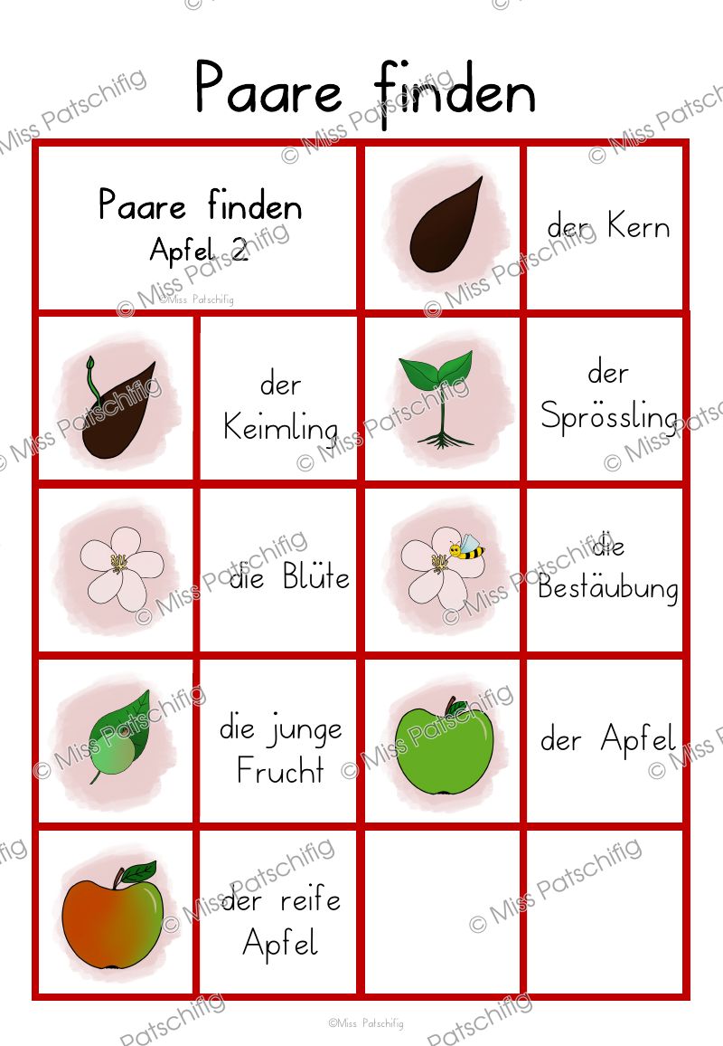 Apfel Paare finden Spielvariante 2 mit Bildern und Wörtern, Vorschau