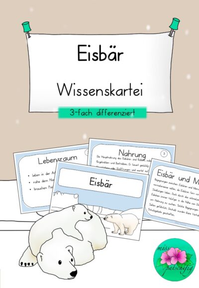 Eisbär Unterrichtsmaterial