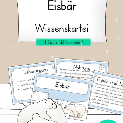 Eisbär Unterrichtsmaterial