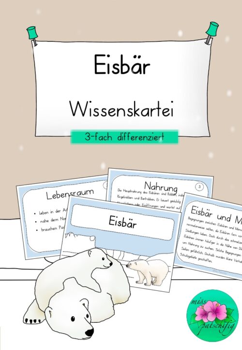 Eisbär Unterrichtsmaterial