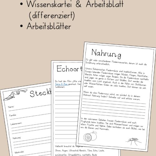Fledermaus Arbeitsblätter