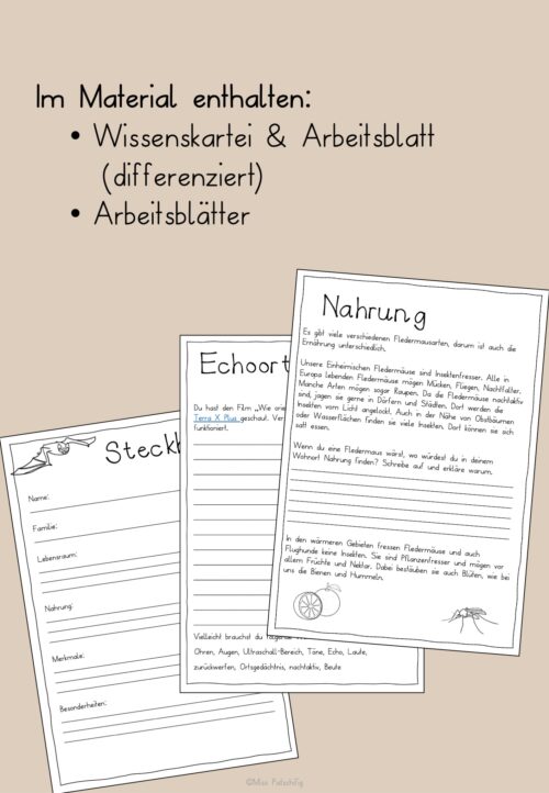 Fledermaus Arbeitsblätter