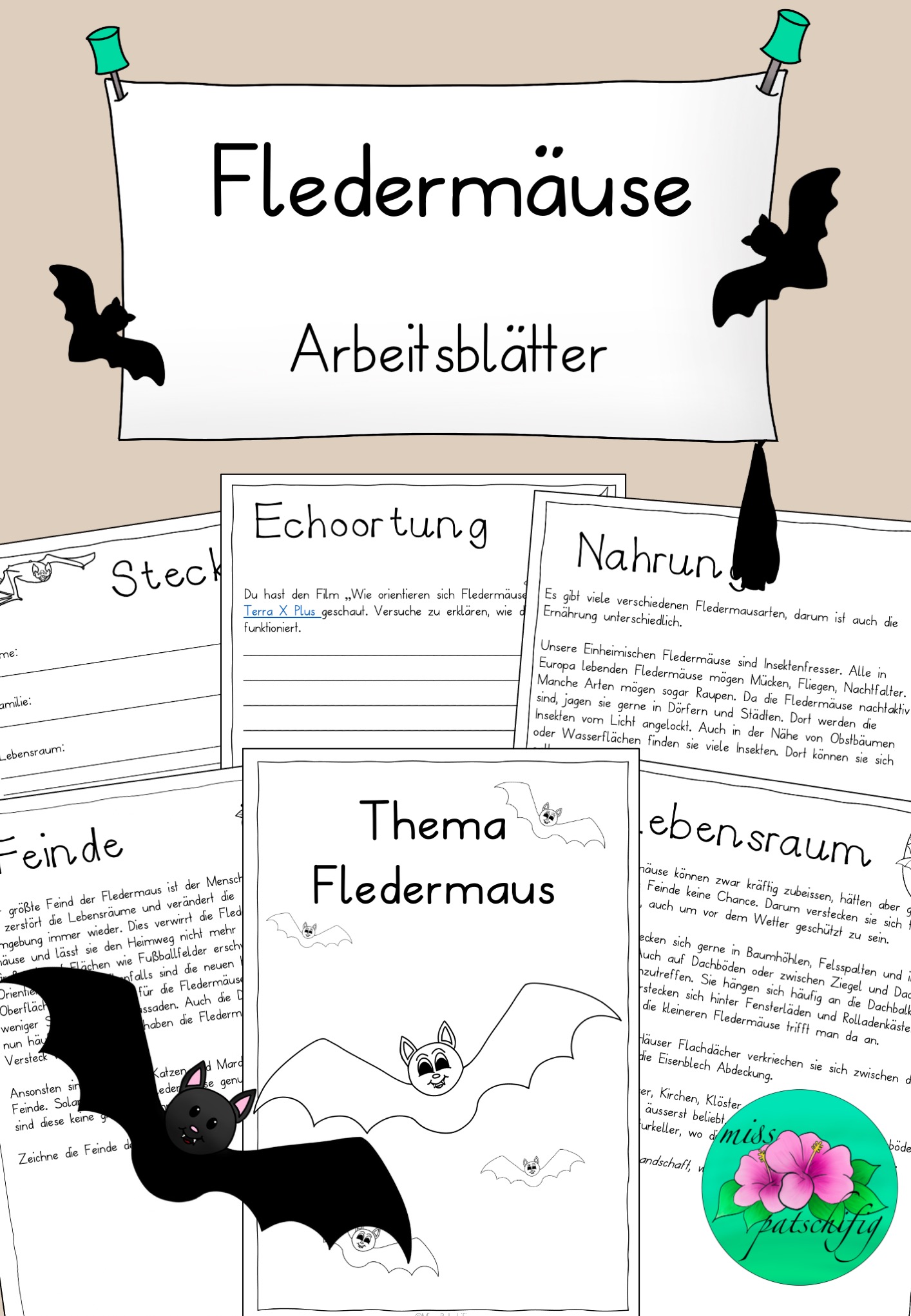 Fledermaus Arbeitsblätter