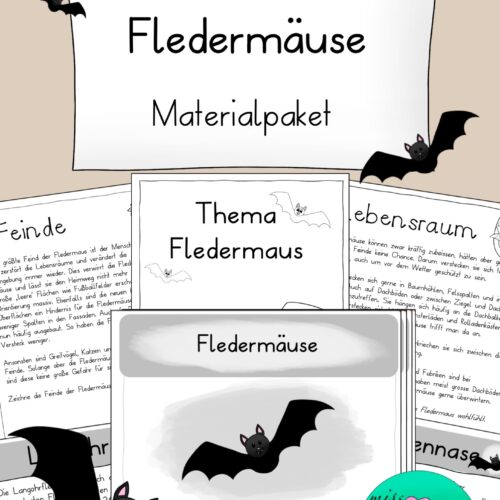 Fledermaus Unterrichtsmaterial