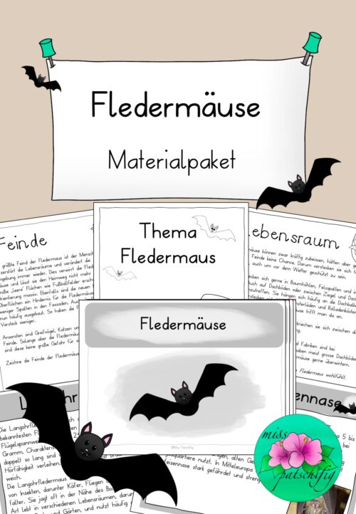 Fledermaus Unterrichtsmaterial
