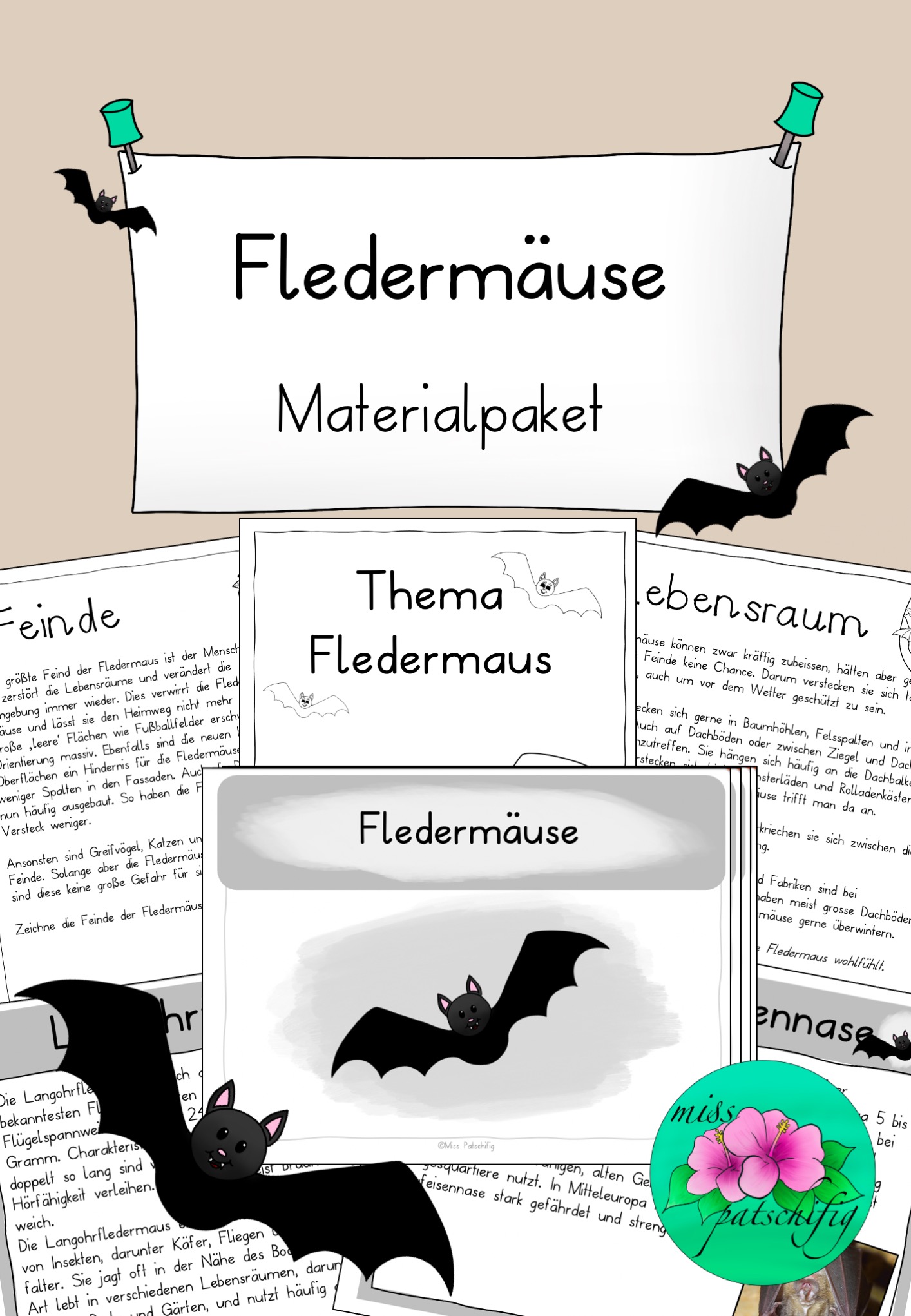 Fledermaus Unterrichtsmaterial