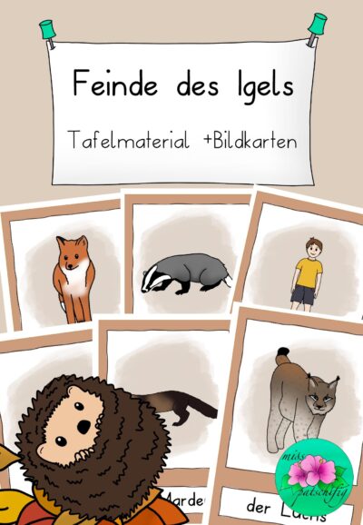 Feinde des Igels Tafelmaterial und Bildkarten, Titelbild mit Igel im Herbstlaub, PDF zum Ausdrucken