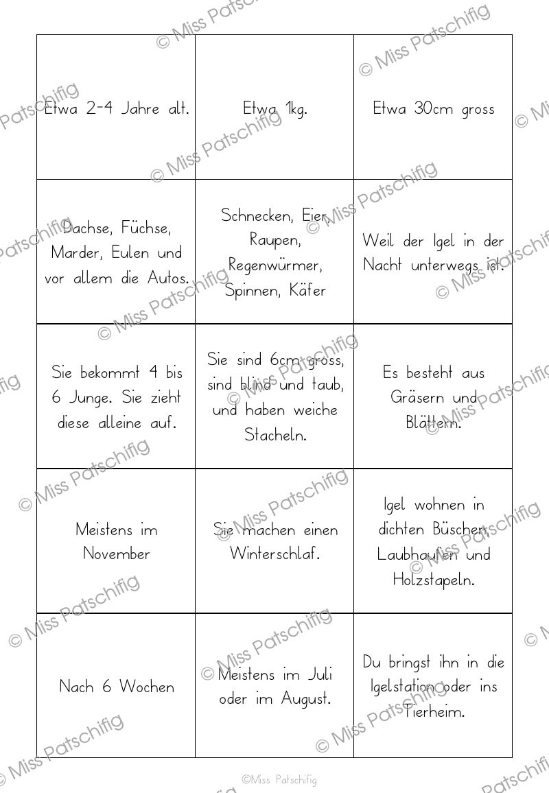 Lernkarten zum Igel mit Fragen und Antworten, Seite 2, Vorschau