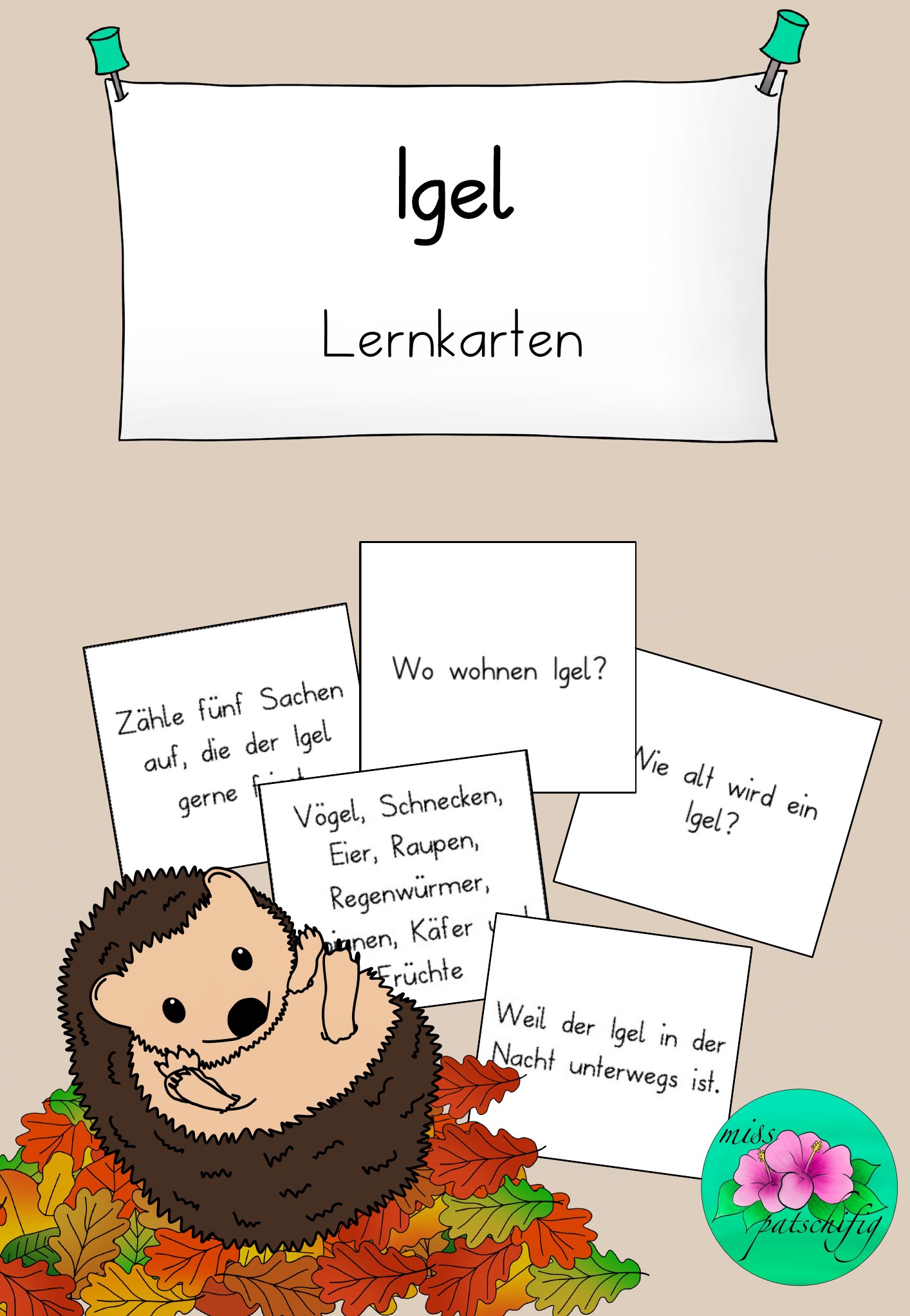 Igel Lernkarten