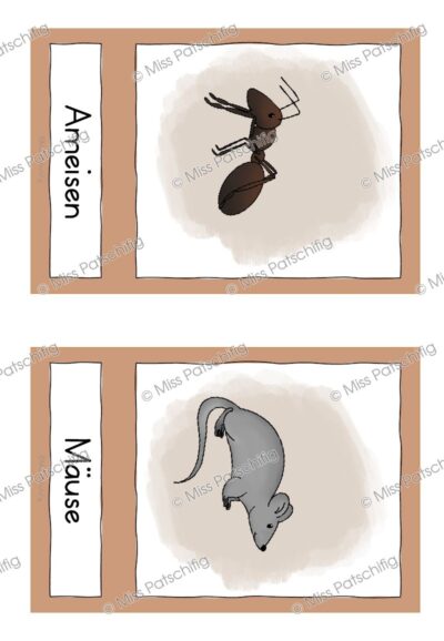 Igel Nahrung Bildkarten Ameisen und Mäuse mit Wortkarte, Vorschau