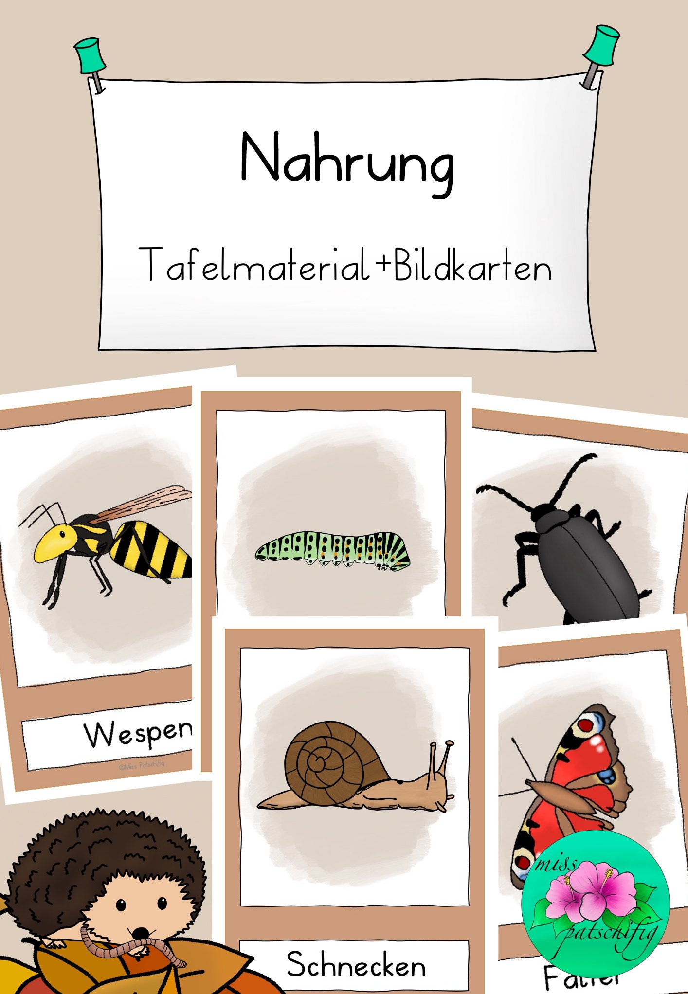 Igel Nahrung Bildkarten