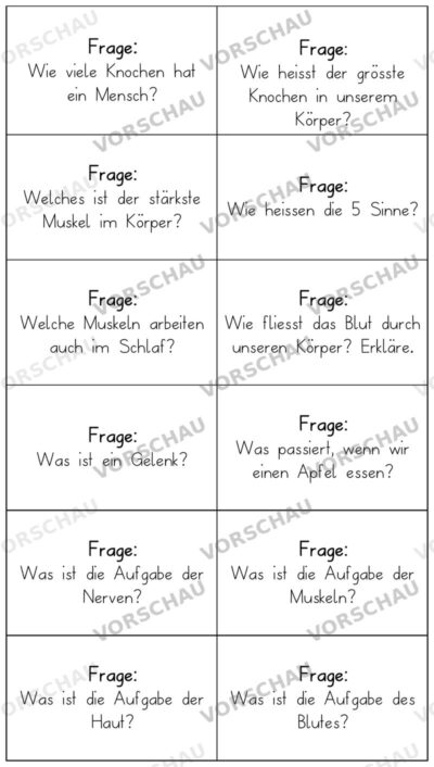 Körper Lernkarten: 24 Fragen und Antworten zum Körper, zum Ausdrucken (PDF)