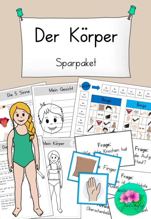 Körper Unterrichtsmaterial