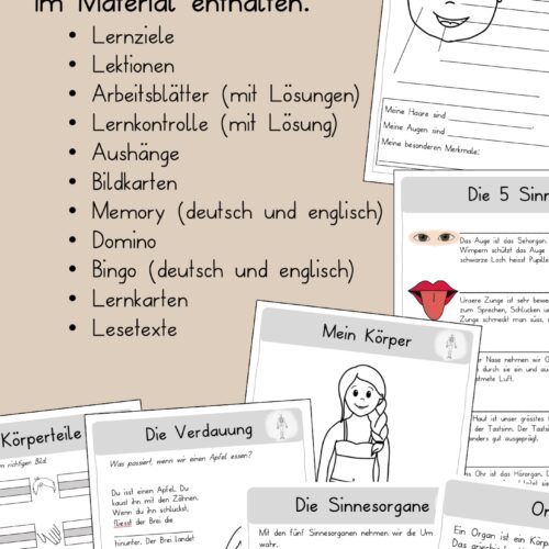 Körper Unterrichtsmaterial