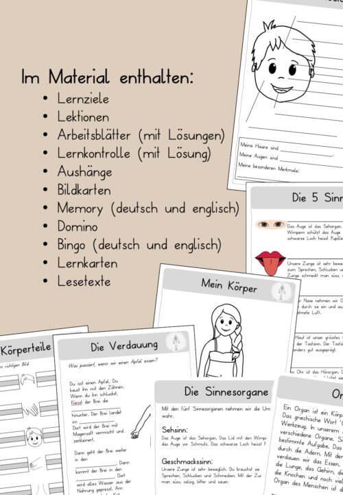 Körper Unterrichtsmaterial