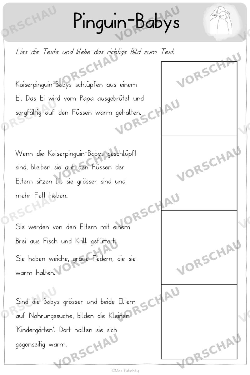 Pinguine Arbeitsblätter differenziert: Pinguin-Babys, Vorschau
