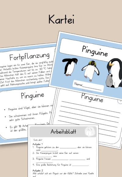 Pinguine Kartei