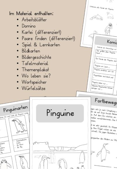 Pinguine Unterrichtsmaterial