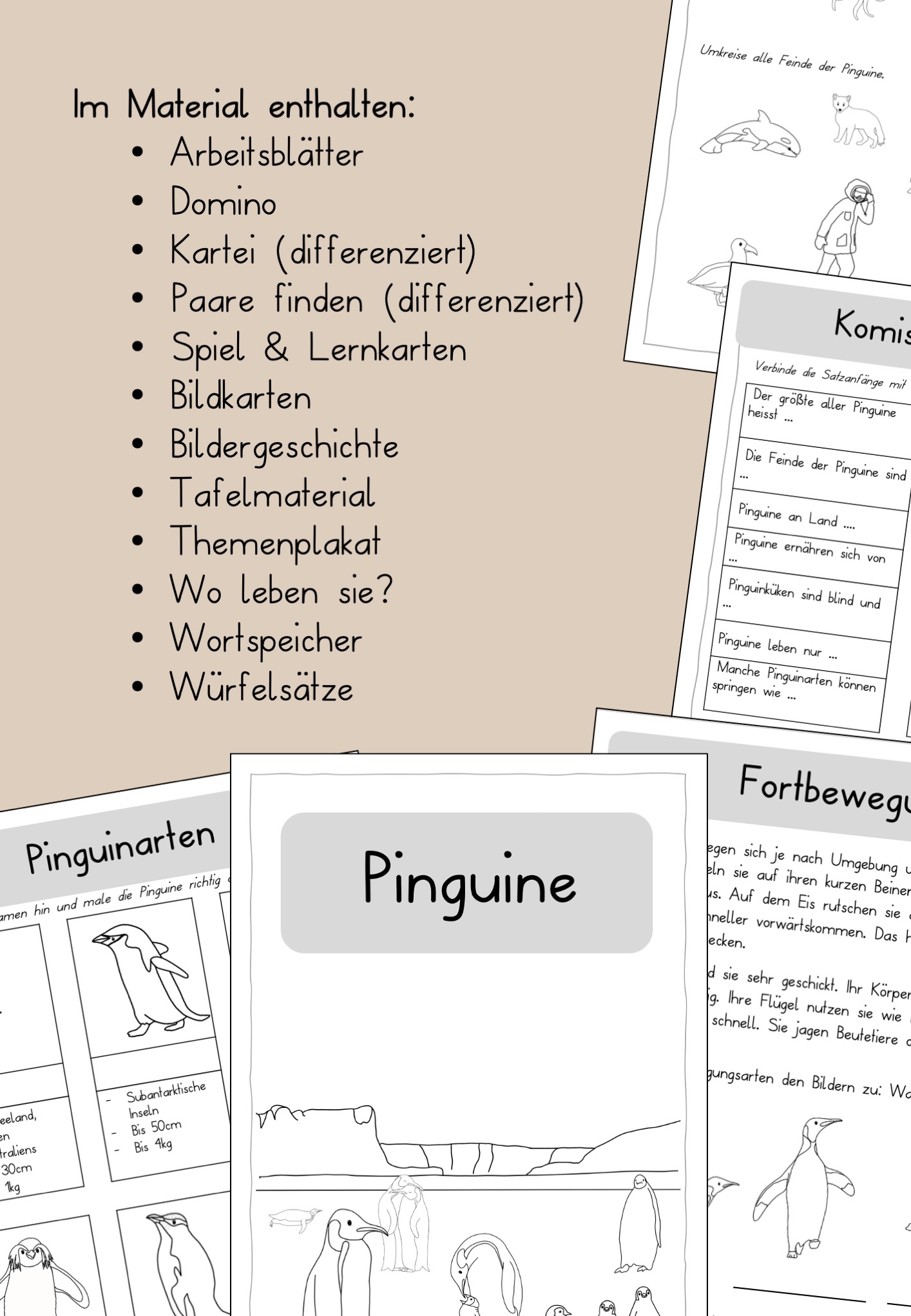 Pinguine Unterrichtsmaterial