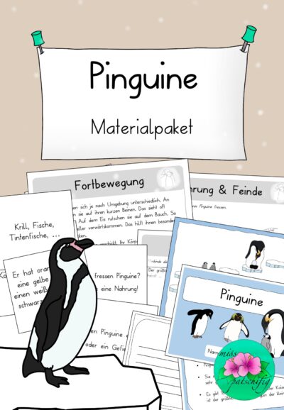 Pinguine Unterrichtsmaterial
