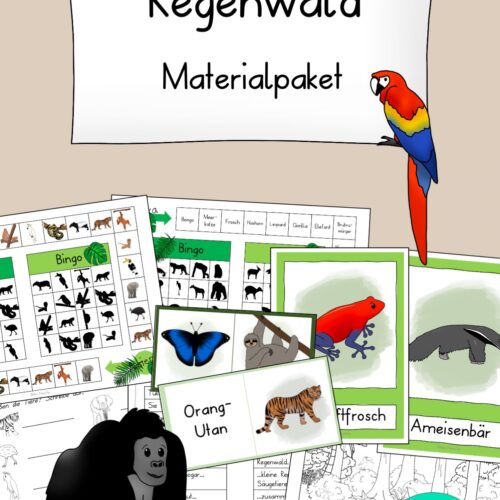 Regenwald Unterrichtsmaterial