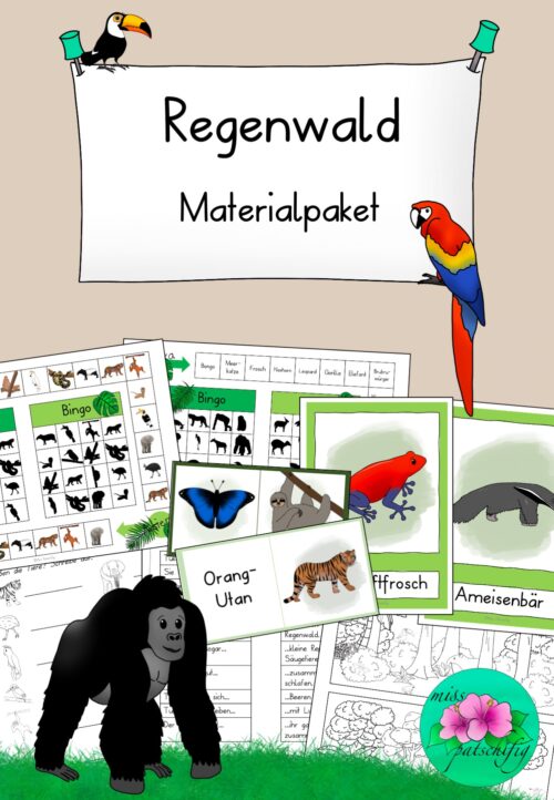 Regenwald Unterrichtsmaterial