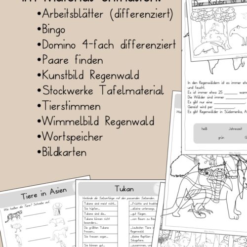 Regenwald Arbeitsblätter