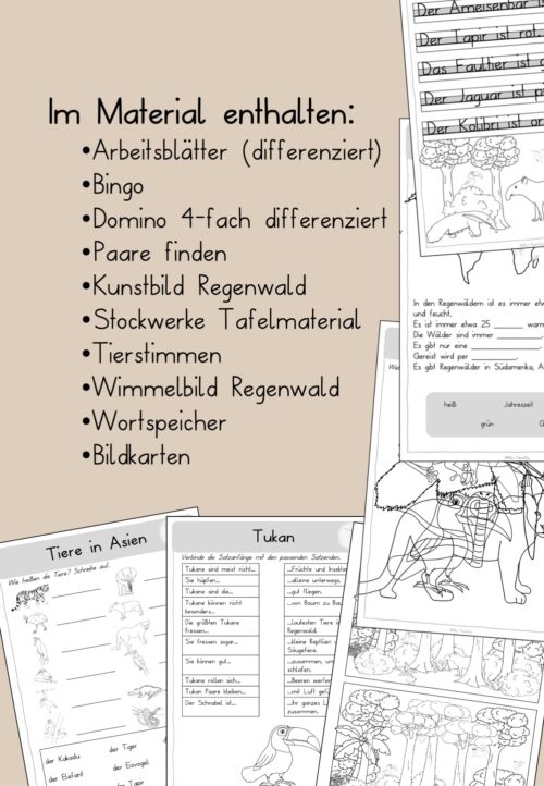 Regenwald Arbeitsblätter